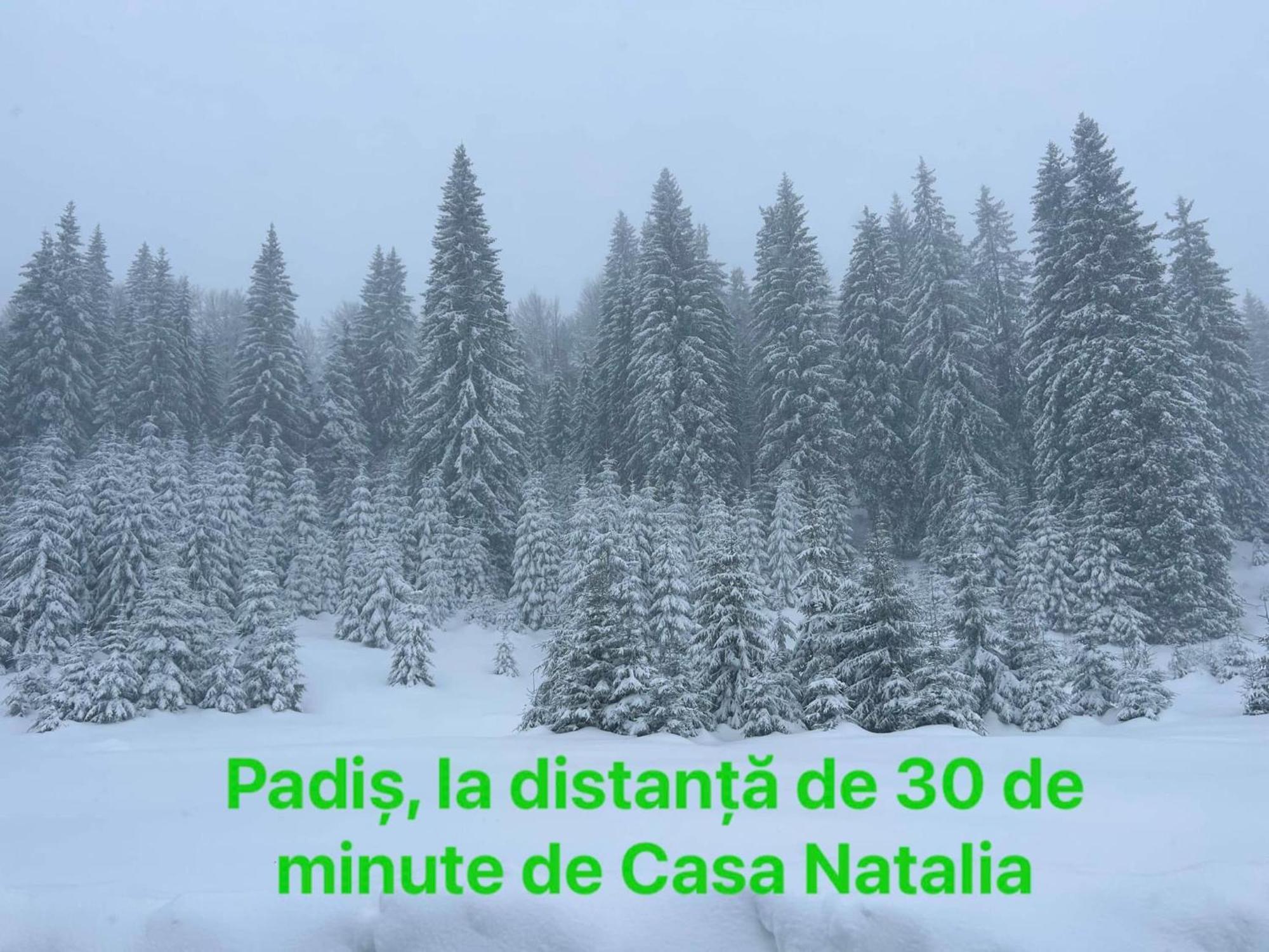 Casa Natalia 호텔 Chiscau 외부 사진